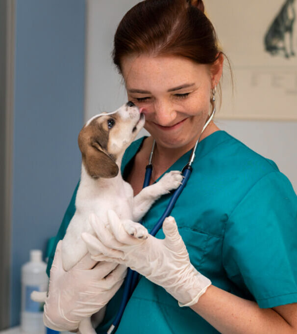 dr. Katona Ramóna bemutatkozó