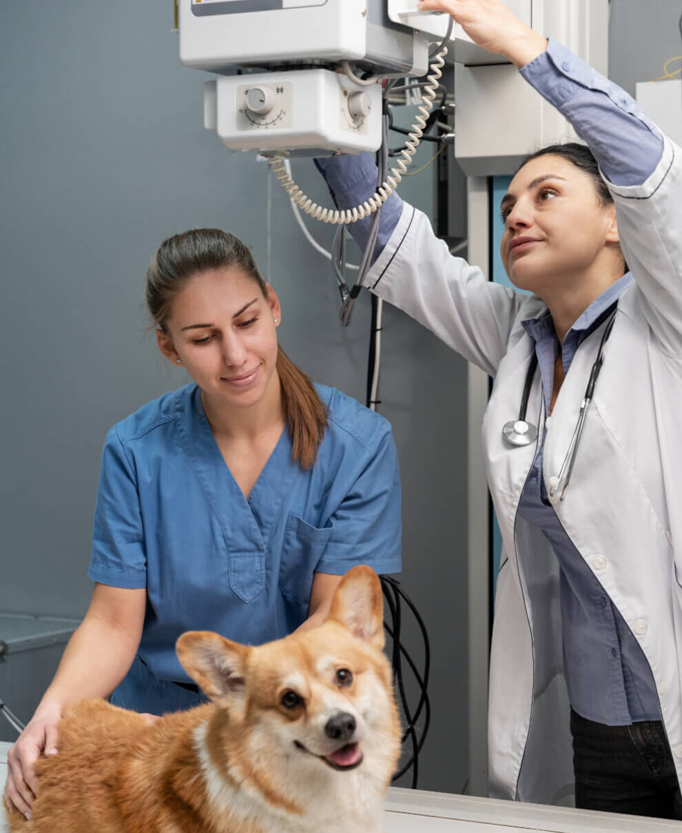 Korgi röntgen ellátás folyamata